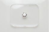 Diamante taglio brillante GIA ct 0.30 E IF